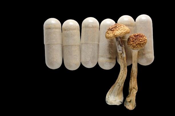 Mushroom Capsules