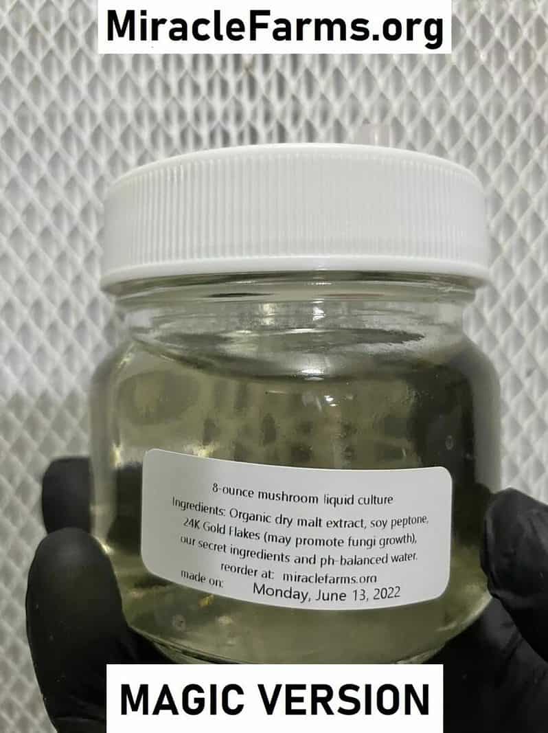 8oz Liquid Mushroom Culture jars with 24K gold infused nutrient broth designed specifically for cubes or magic mushroom strains made by hand sold only at miracle farms dot org IMG 2669