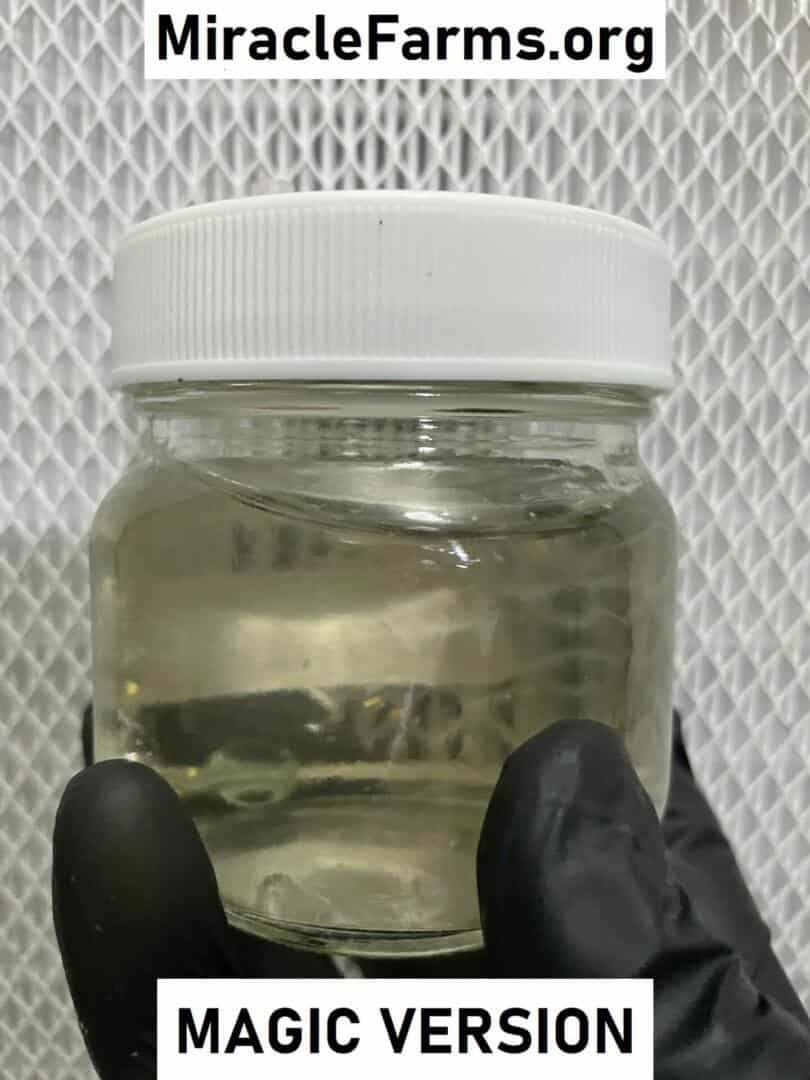 24K Gold infused, 8 oz CLEAR mushroom liquid culture jars, Magic Version 2.0!