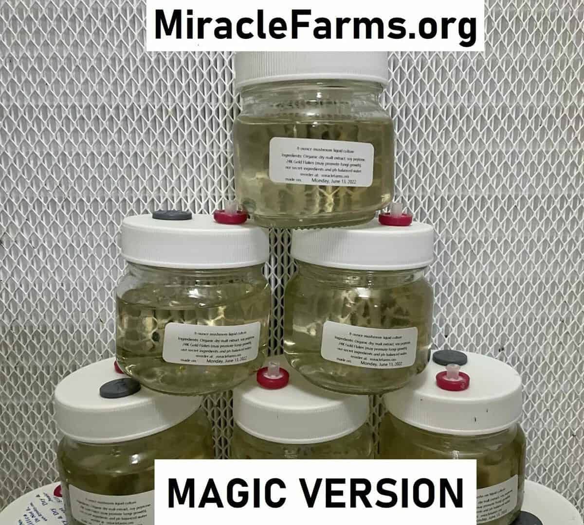 8oz Liquid Mushroom Culture jars with 24K gold infused nutrient broth designed specifically for cubes or magic mushroom strains made by hand sold only at miracle farms dot org IMG 2679
