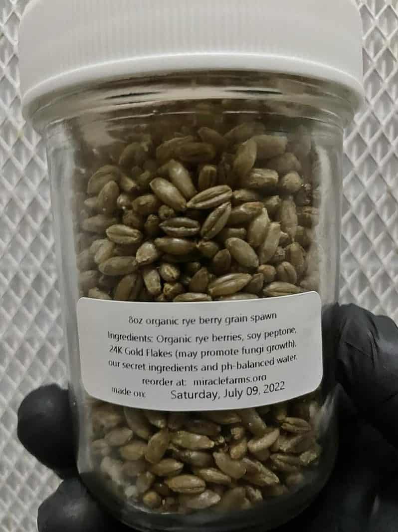 8oz organic rye berry grain spawn jar 24K Gold Magic Mushroom Version 6