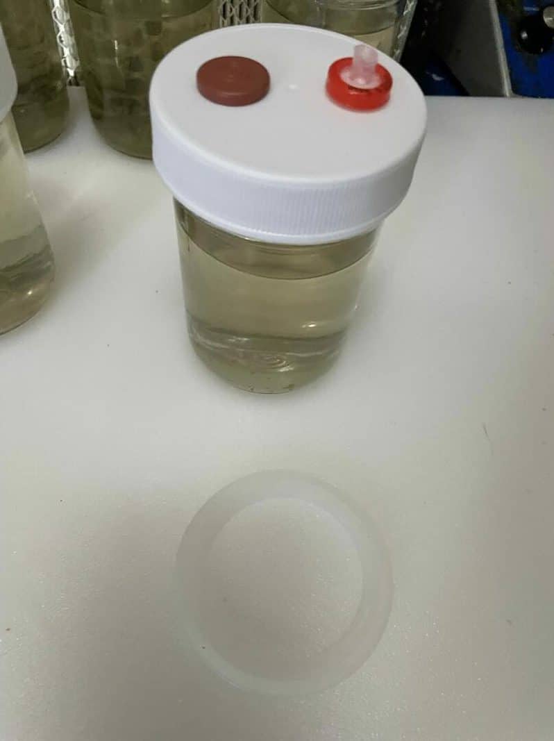 24K Gold infused 8 oz CLEAR mushroom liquid culture jars Version 2.1 September 2022 IMG 3320 compress