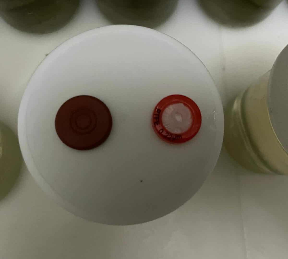 24K Gold infused 8 oz CLEAR mushroom liquid culture jars Version 2.1 September 2022 IMG 3322 compress