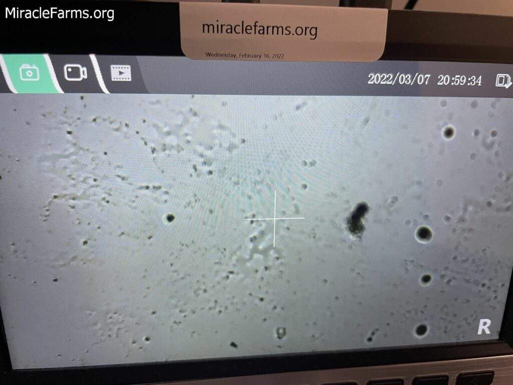 mycology room photos miracle farms LLC Flordia lab