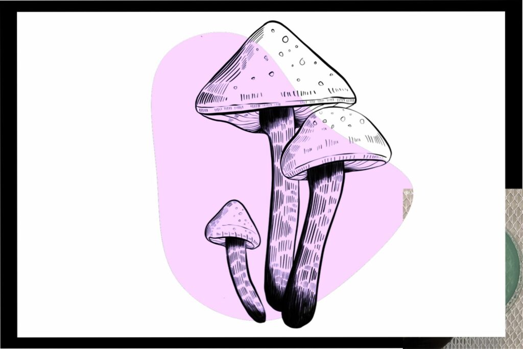 Psilocybe azurescens cover worlds strongest mahic mushroom Psilocybe azurescens is a species of psychedelic mushroom that contains the compounds psilocybin and psilocin sold here today
