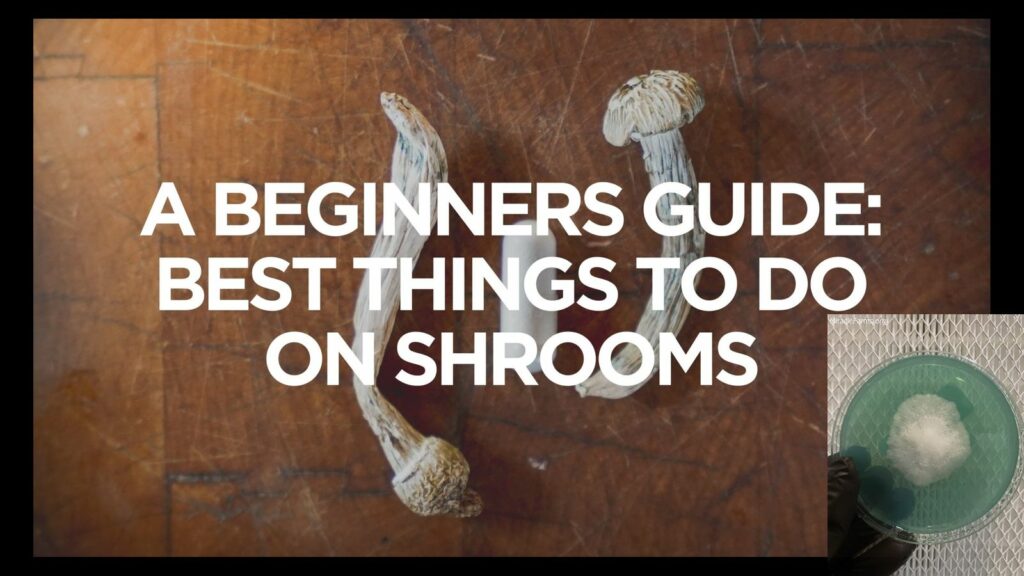 A Beginners Guide Best Things to Do on Shrooms scaled