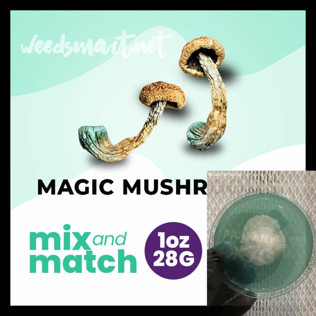 Magic Mushrooms M M g