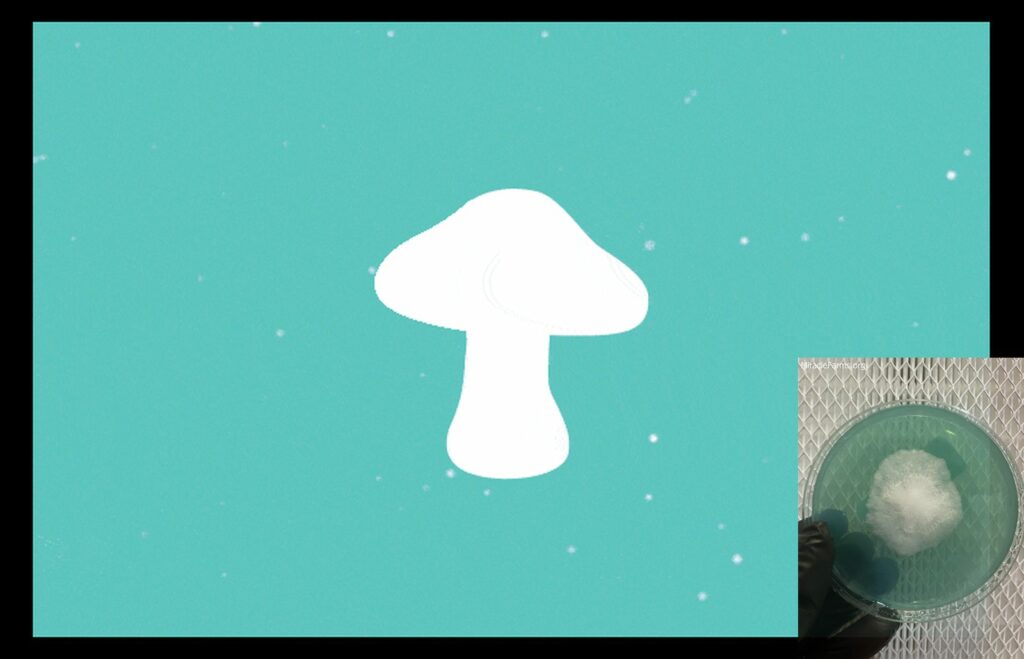 mushroomcalculator