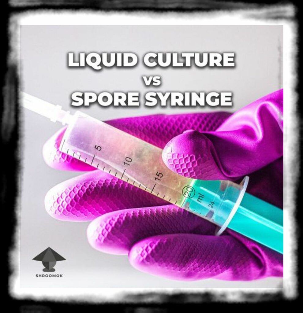 SPORE SYRINGE VS LIQUID CULTURE px Liquid culture vs spore syringe