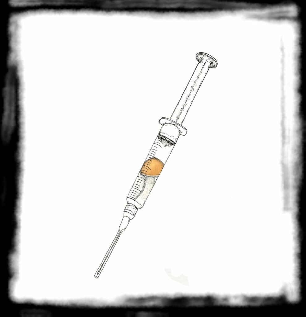 SPORE SYRINGE VS LIQUID CULTURE B Spore Syringe
