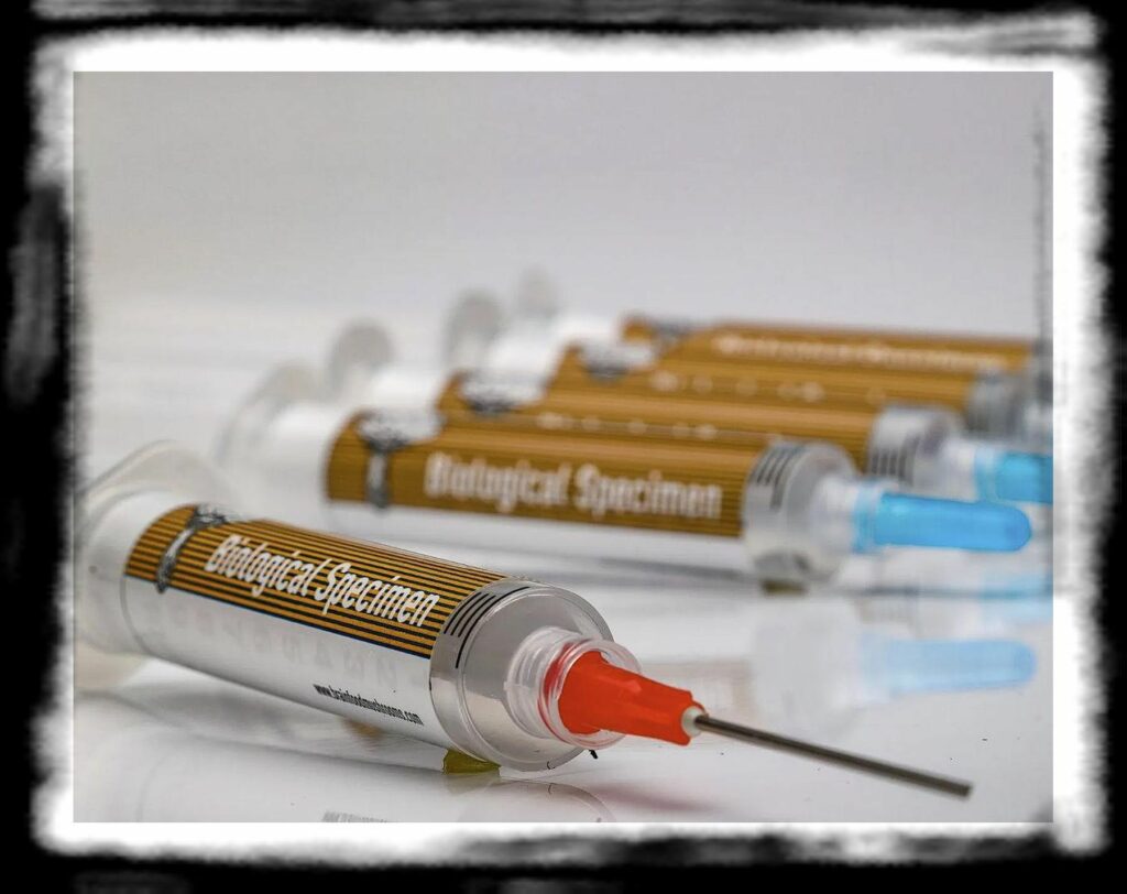 SPORE SYRINGE VS LIQUID CULTURE Liquid Culture Syringe