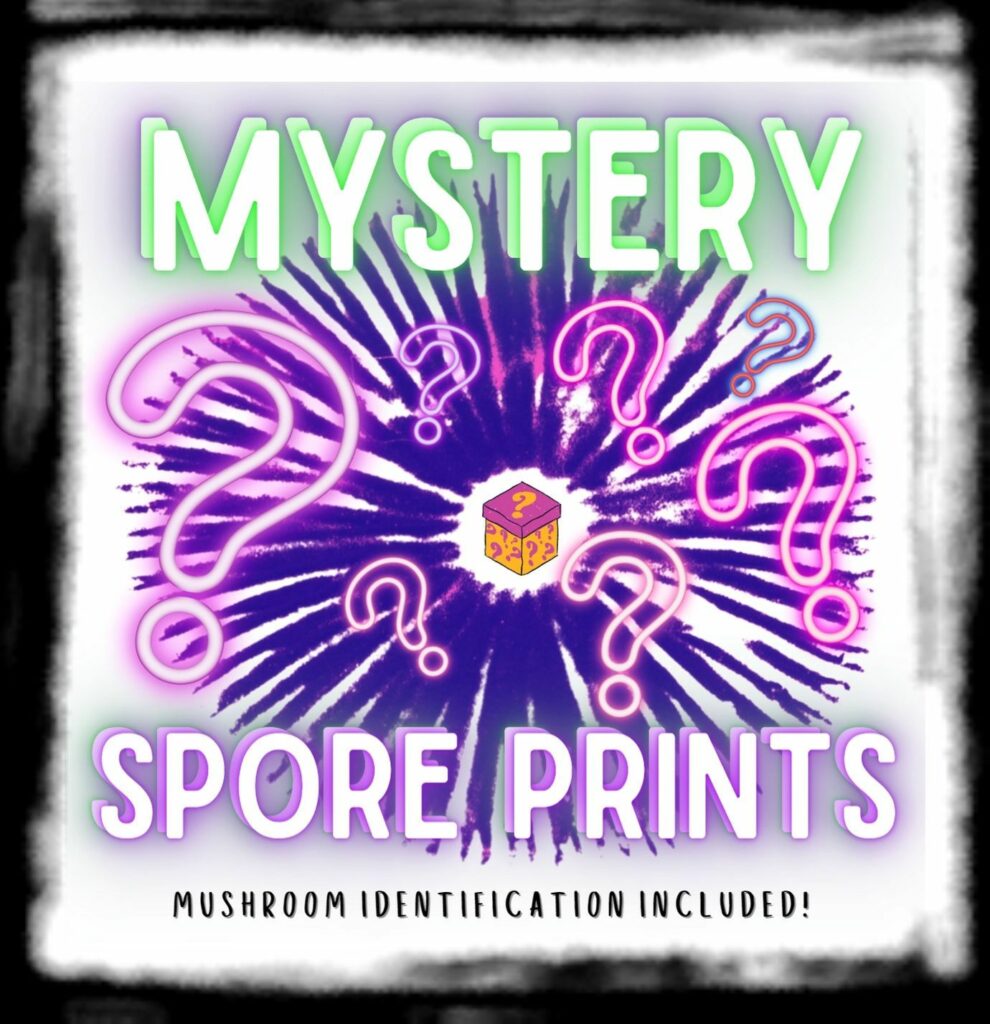 SPORE SYRINGE VS LIQUID CULTURE Mystery Spore Prints
