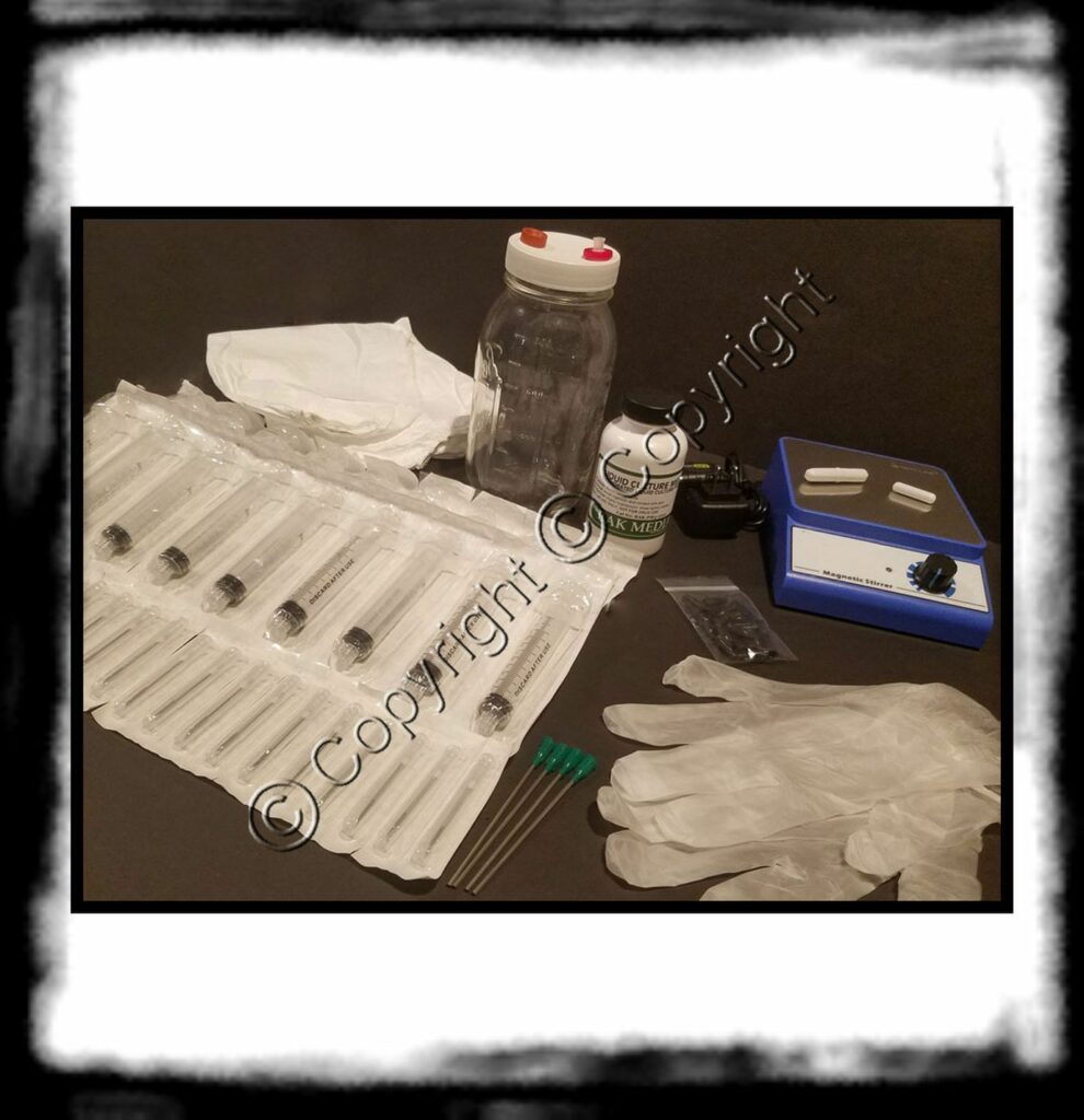 SPORE SYRINGE VS LIQUID CULTURE agar liquid culture kit