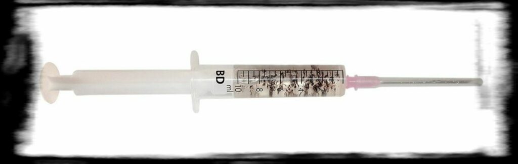 SPORE SYRINGE VS LIQUID CULTURE how to make a spore syringe x