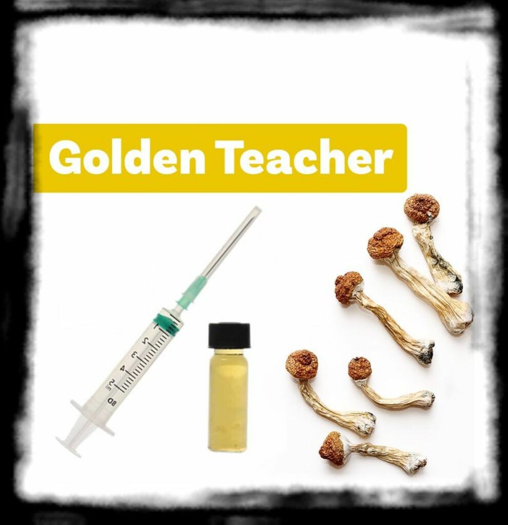 SPORE SYRINGE VS LIQUID CULTURE liquid culture golden teacher