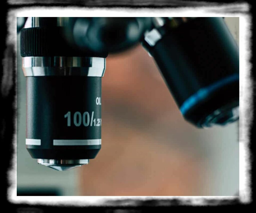 SPORE SYRINGE VS LIQUID CULTURE microscope large cropped