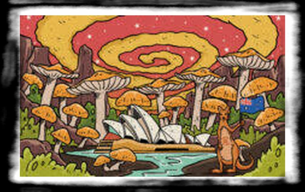 SPORE SYRINGE VS LIQUID CULTURE th RS Featured Image Psilocybe Subaeruginosa Australias Most Potent Magic Mushroom x x