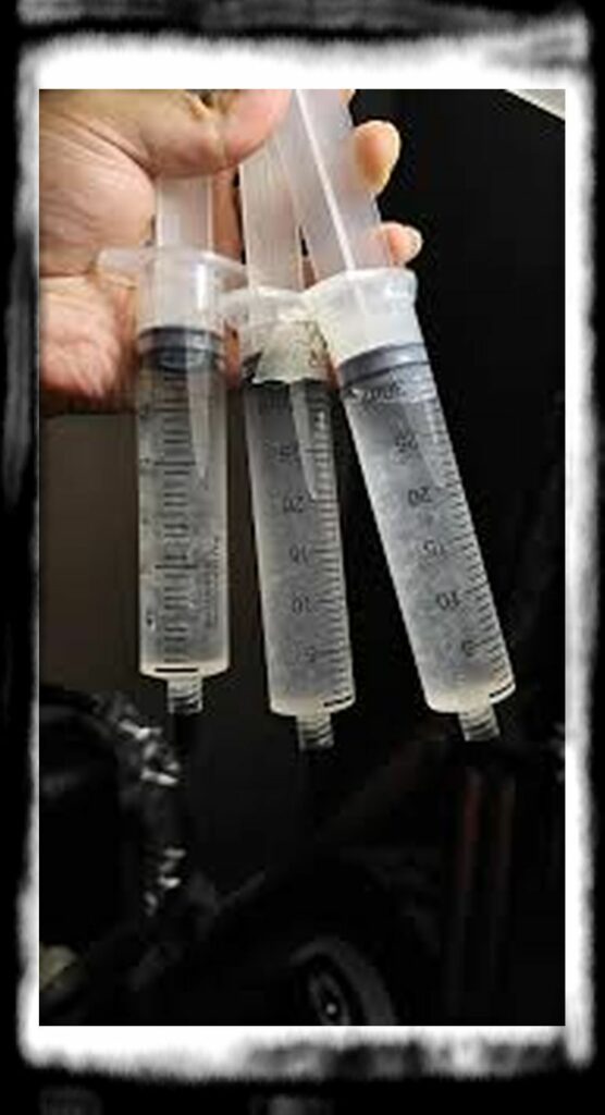 SPORE SYRINGE VS LIQUID CULTURE th ml liquid culture syringes swipe for closeups v acwmhzkb