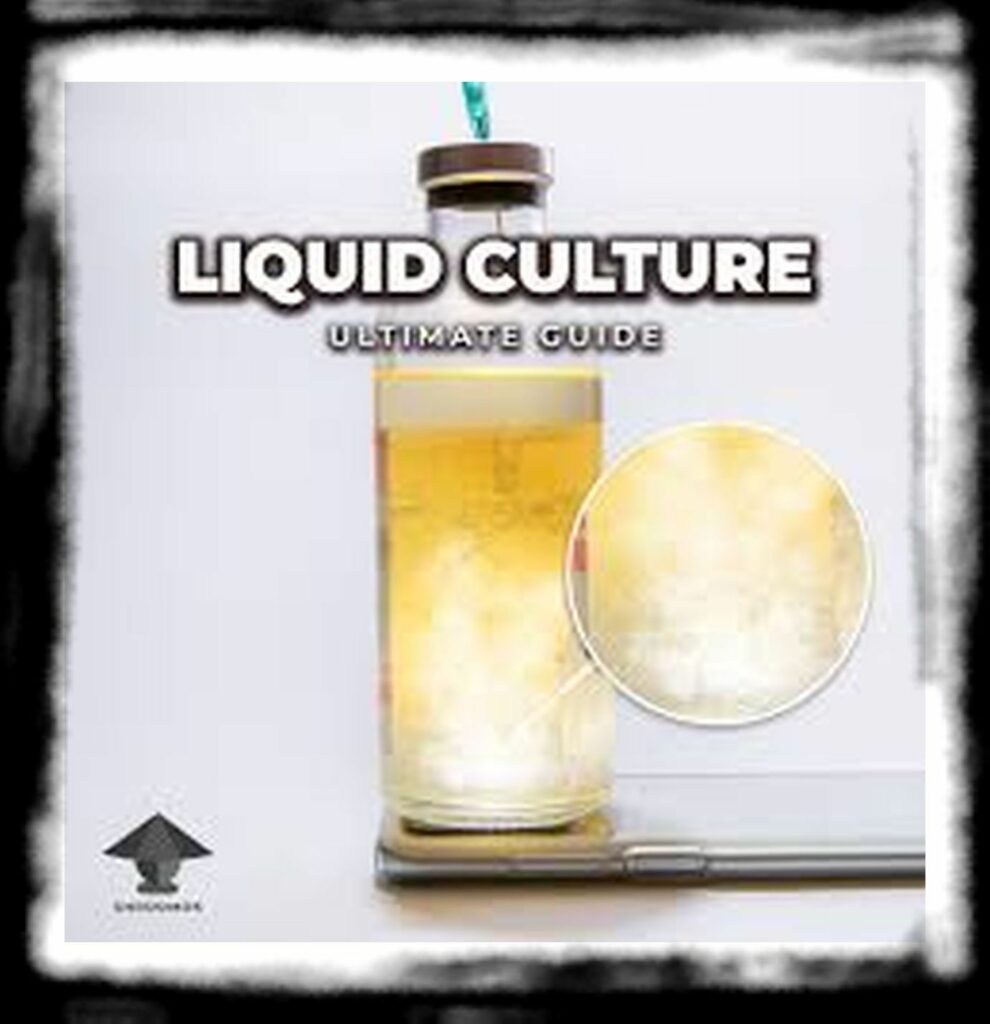SPORE SYRINGE VS LIQUID CULTURE th Mushroom liquid culture ultimate guide