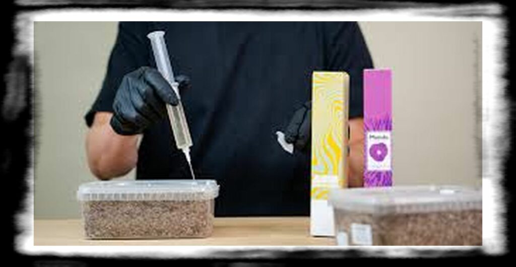 SPORE SYRINGE VS LIQUID CULTURE th Which is better for mushroom cultivation spore syringe or liquid culture