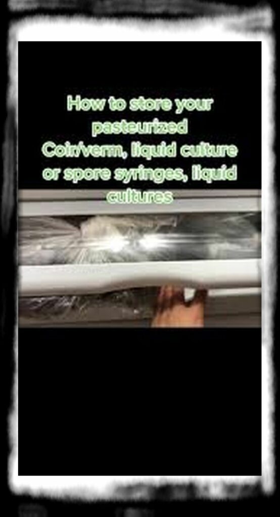 SPORE SYRINGE VS LIQUID CULTURE th ceaafcdcbbe ~tplv photomode zoomcover