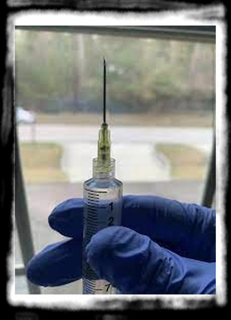 SPORE SYRINGE VS LIQUID CULTURE th first timer here spore syringe seems to be jammed no liquid v jlsidndeoea