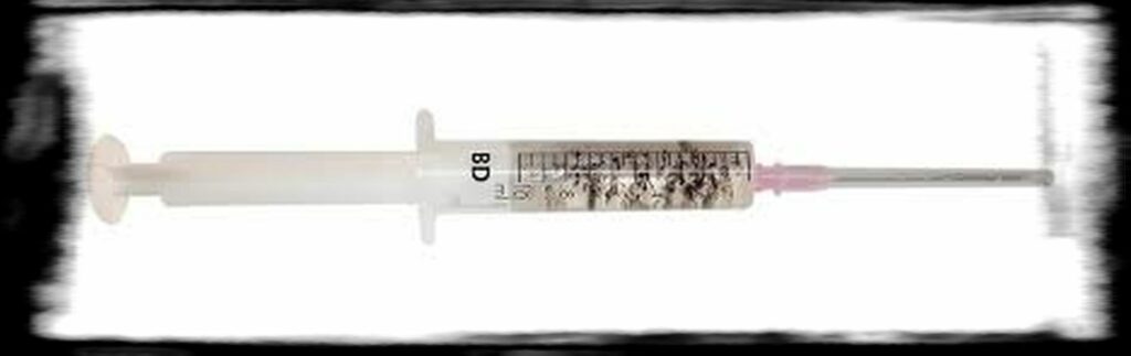 SPORE SYRINGE VS LIQUID CULTURE th how to make a spore syringe x