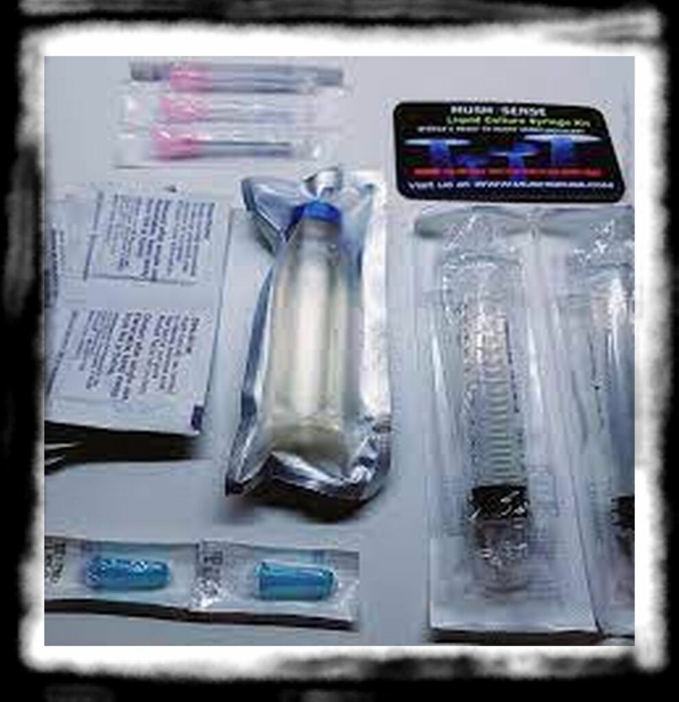 SPORE SYRINGE VS LIQUID CULTURE th liquid culture syringe kit spore inoculant v aqnfqveouqa