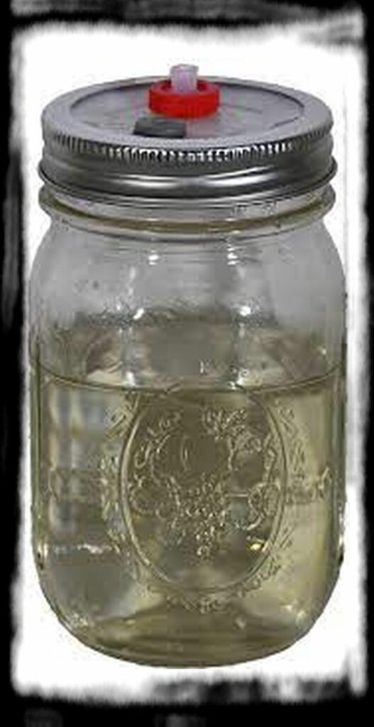 SPORE SYRINGE VS LIQUID CULTURE th liquid culture jar