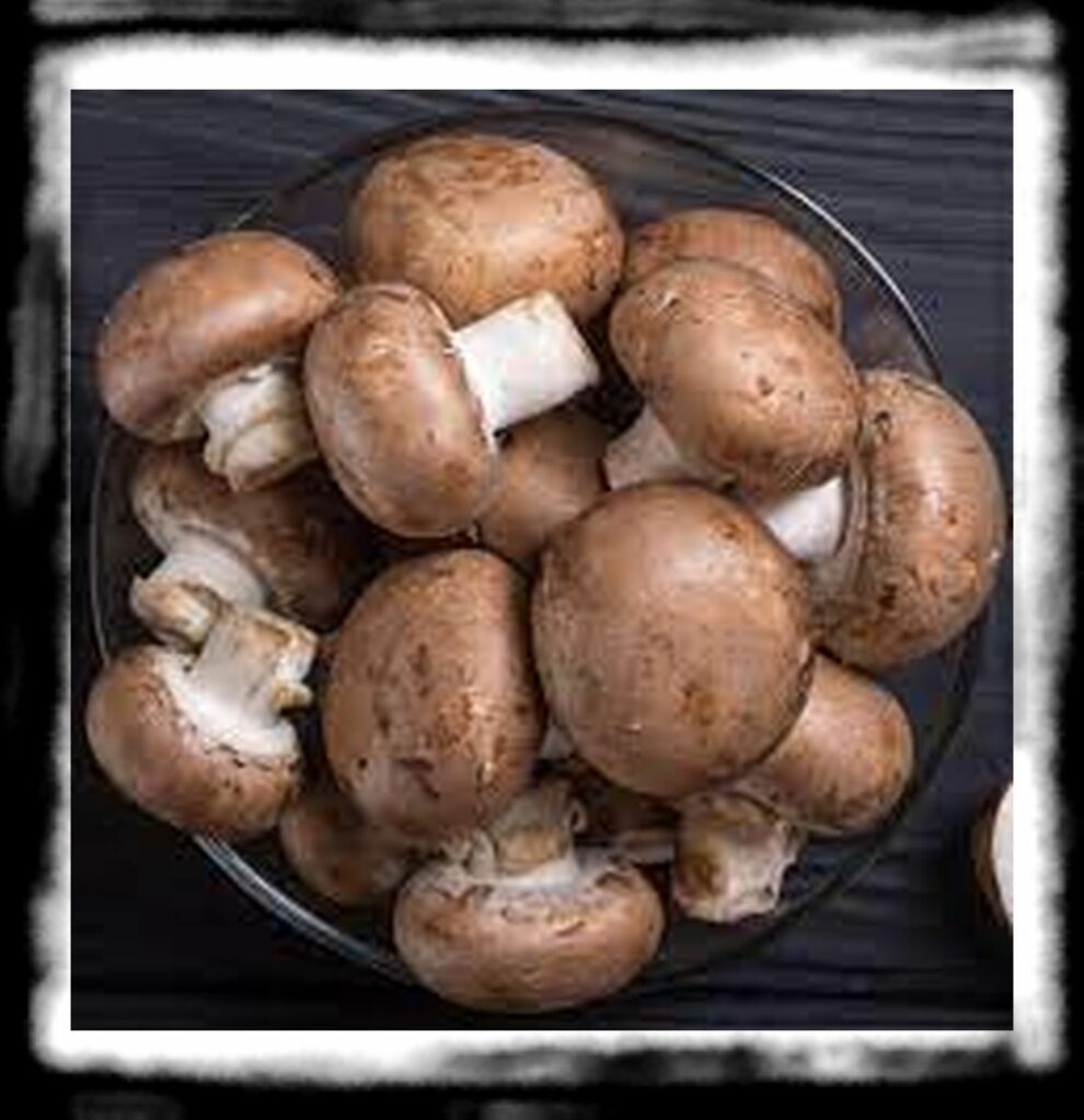 SPORE SYRINGE VS LIQUID CULTURE th mushrooms in a bowel on a dark table x