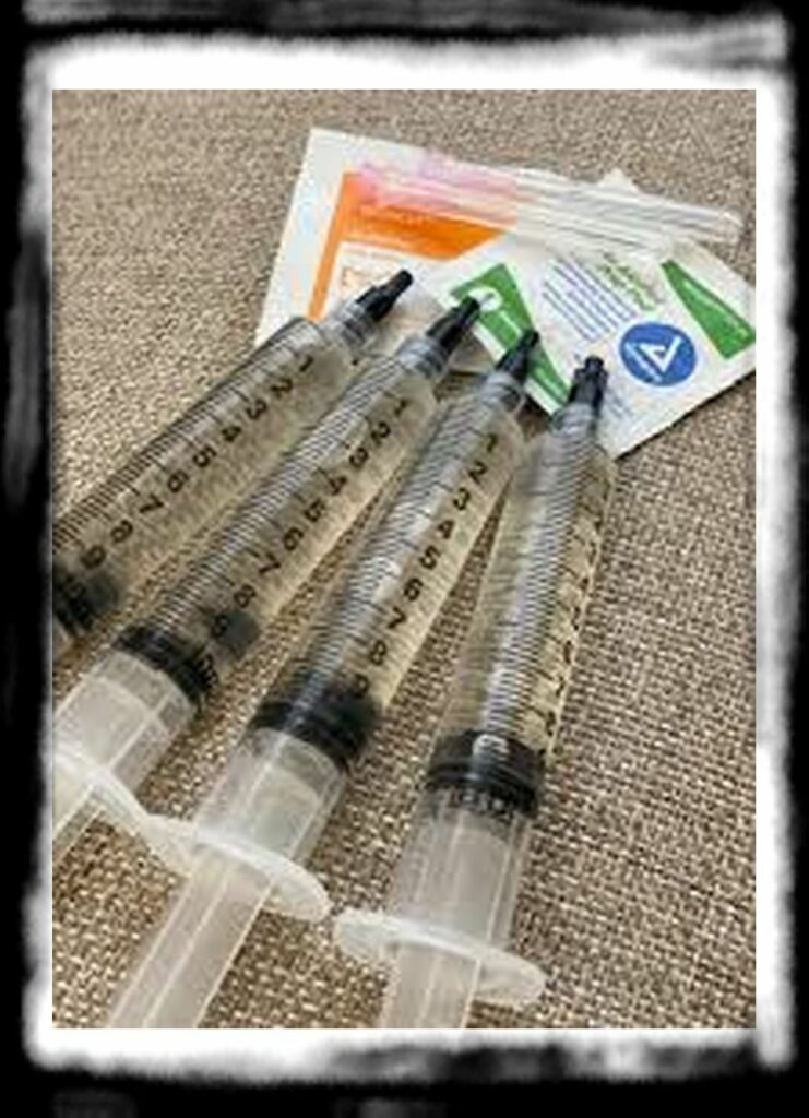 SPORE SYRINGE VS LIQUID CULTURE th spore syringe to liquid culture