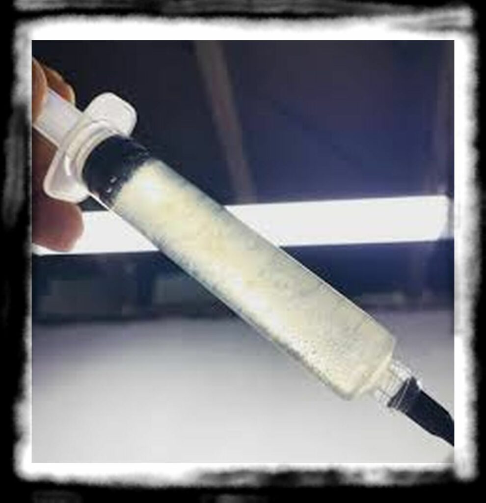 SPORE SYRINGE VS LIQUID CULTURE th sporex liquid mushroom culture ml syringe varietals