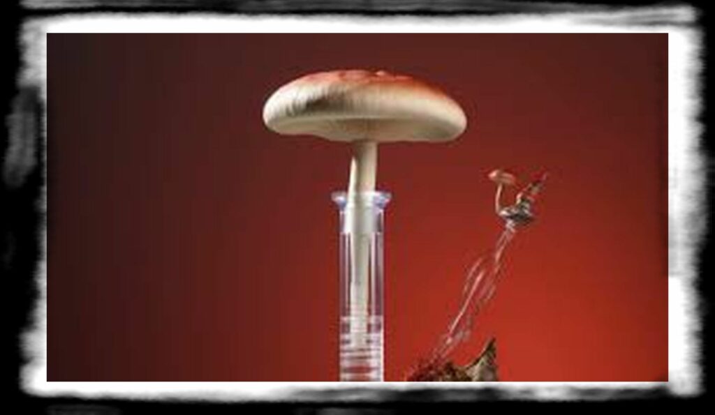 SPORE SYRINGE VS LIQUID CULTURE th the best mushroom spore syringes for psychedelic therapy e