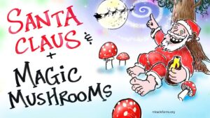 white christmas magic mushroom spore syringe special santa gets high too