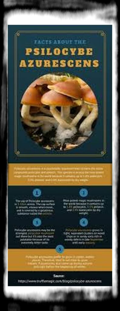 Strongest Magic Mushroom Species th defabfdcad