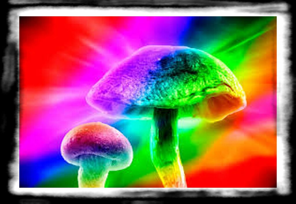 Strongest Magic Mushroom Species th