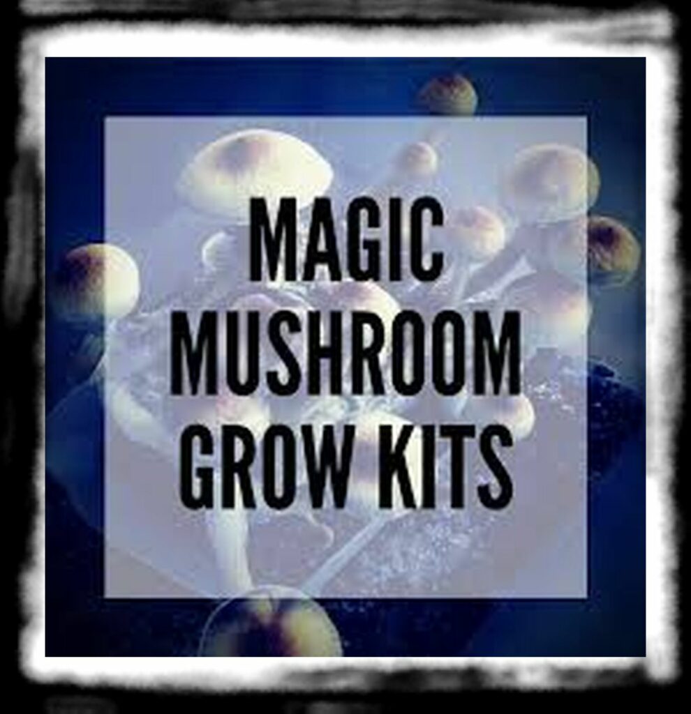 Strongest Magic Mushroom Species th Growkits Blogpost Thumbnail