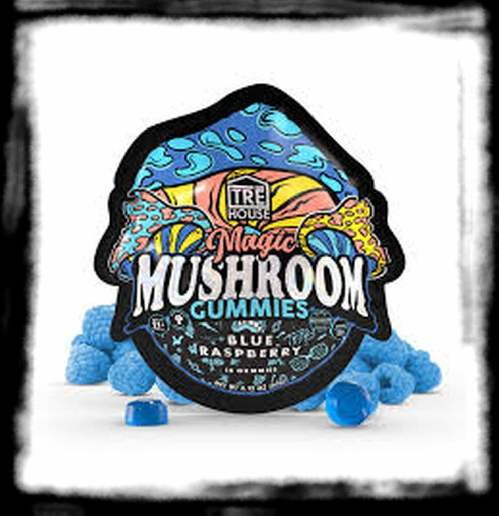 Strongest Magic Mushroom Species th Trehouse Blue Raspberry Gummies Mushrooms Strongest Binoid TreHouse Where To Get How To Get Near Me