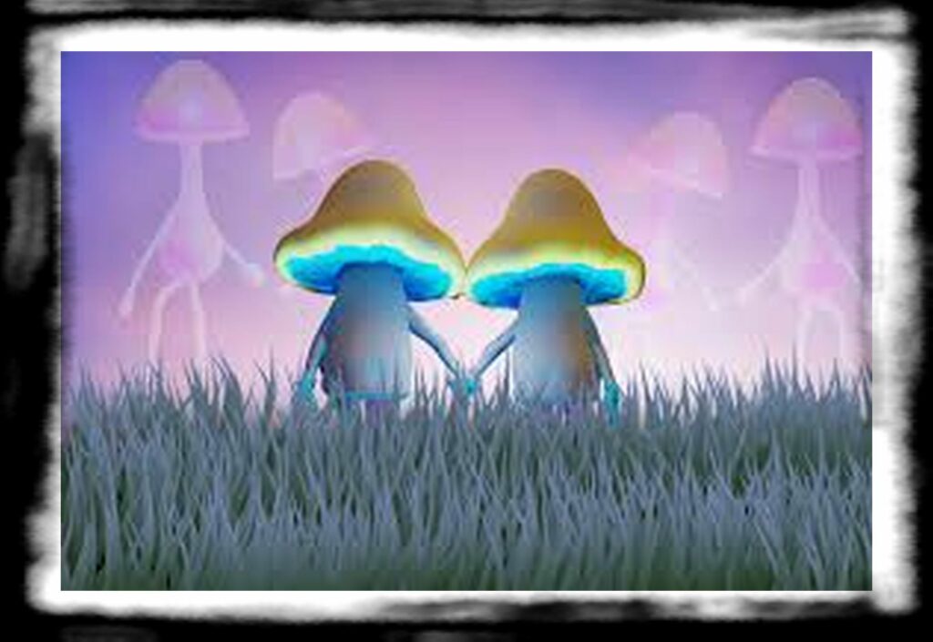 Strongest Magic Mushroom Species th Website images EFBFBD px