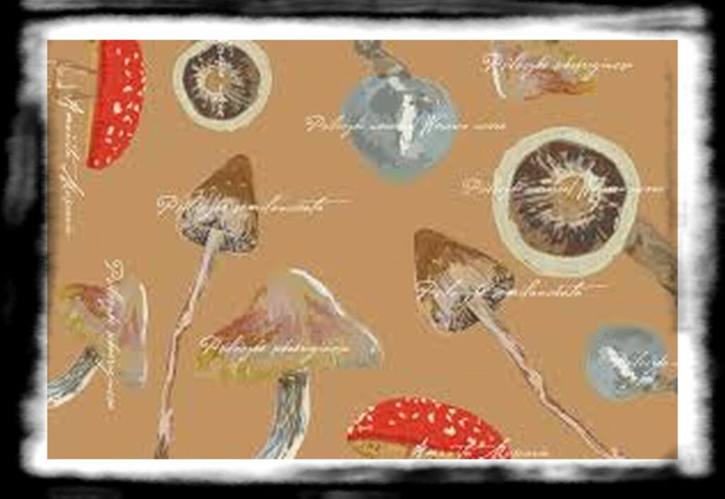 Strongest Magic Mushroom Species th article