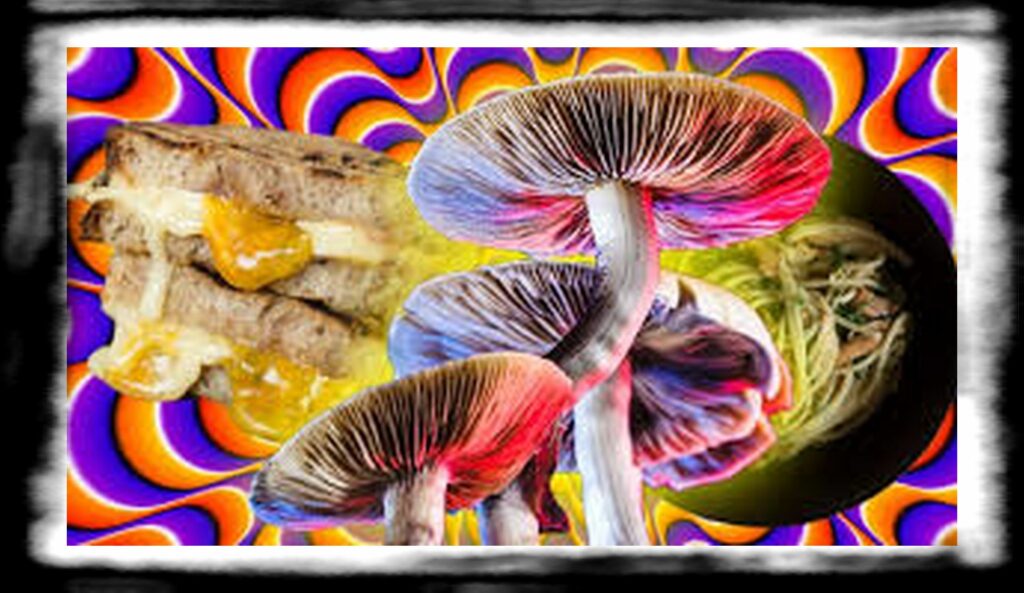 Strongest Magic Mushroom Species th shroom grid uproxx